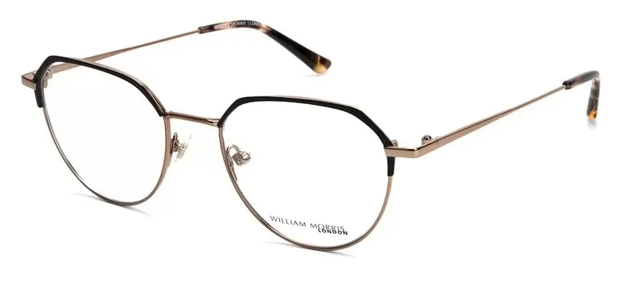 WILLIAM MORRIS LN 50144 с2