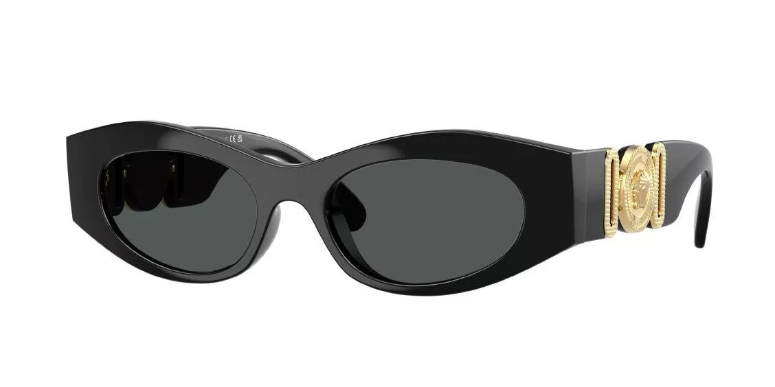VERSACE 4480U GB1/87/51 - фото