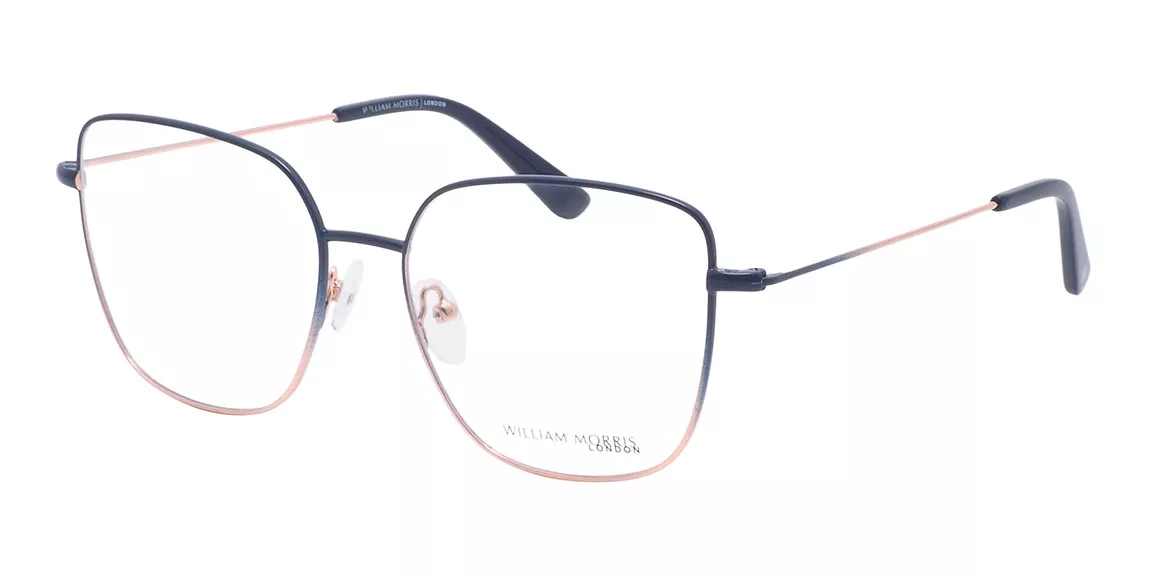 WILLIAM MORRIS LN 50310 9012