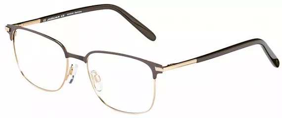 JAGUAR 33704 5100