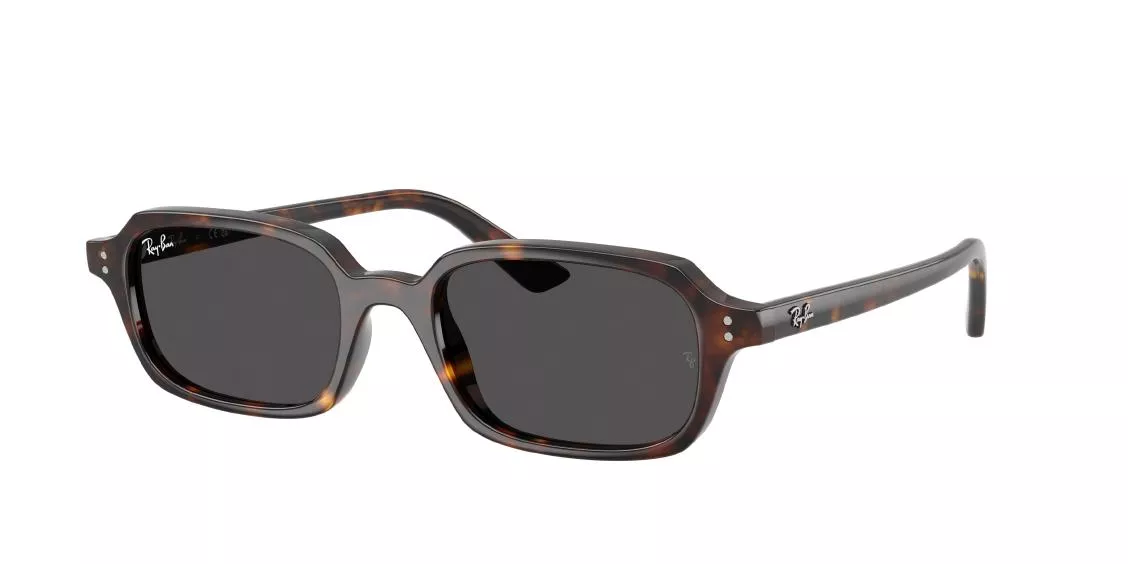 RAY-BAN 4455 135987/52
