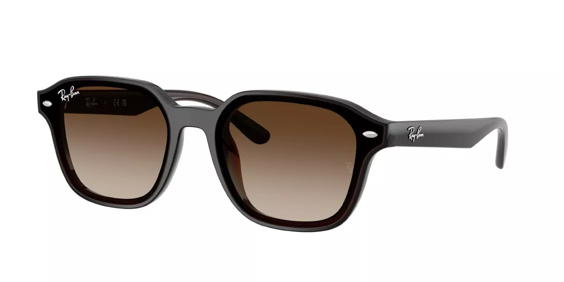 RAY-BAN 4458D 714/13/65