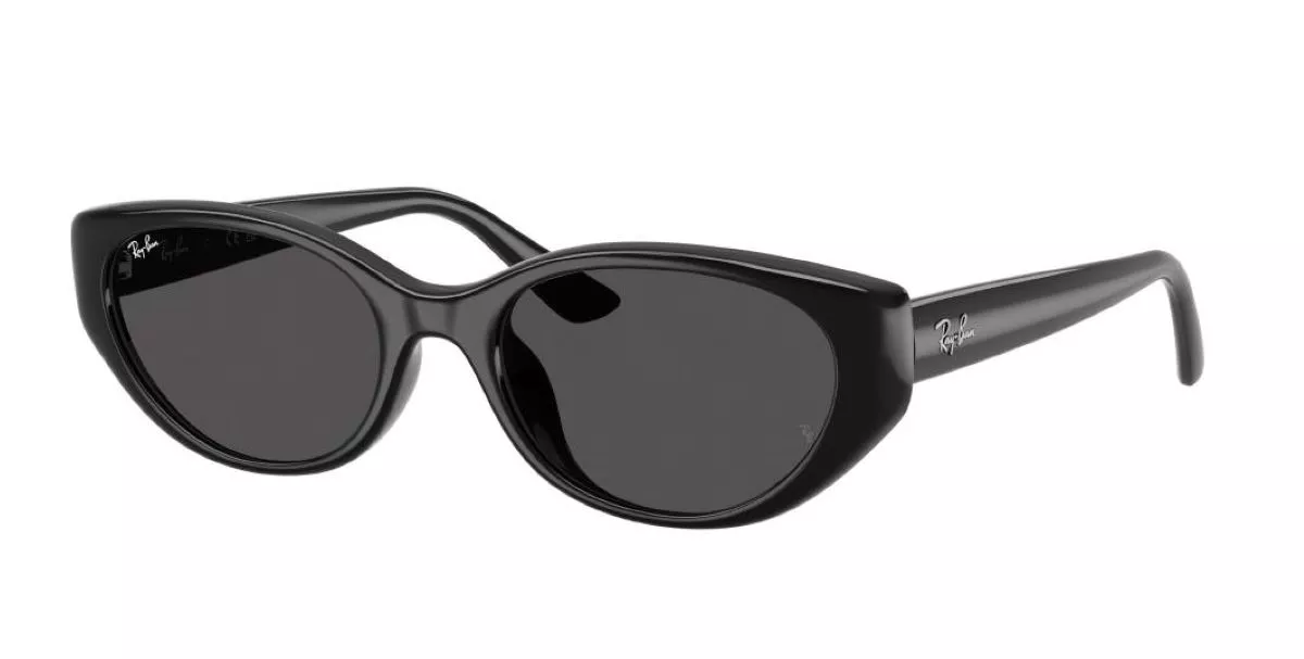 RAY-BAN 4457D 667787/55 - фото