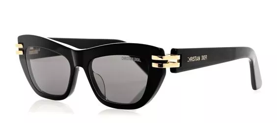 DIOR CDIOR B2U 10A0